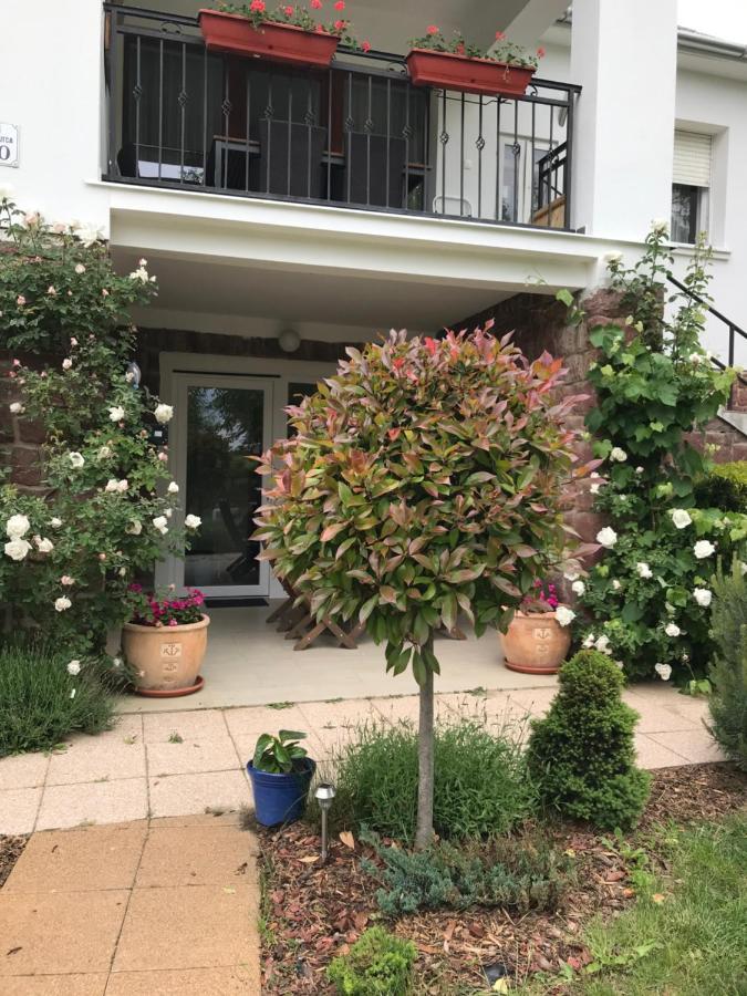Levendula Apartmanhaz 包道乔尼托毛伊 外观 照片