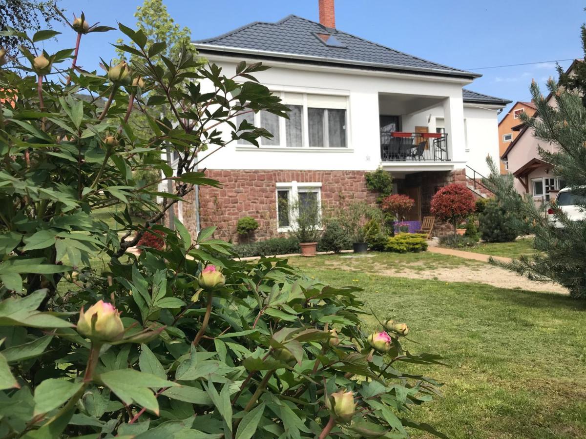 Levendula Apartmanhaz 包道乔尼托毛伊 外观 照片