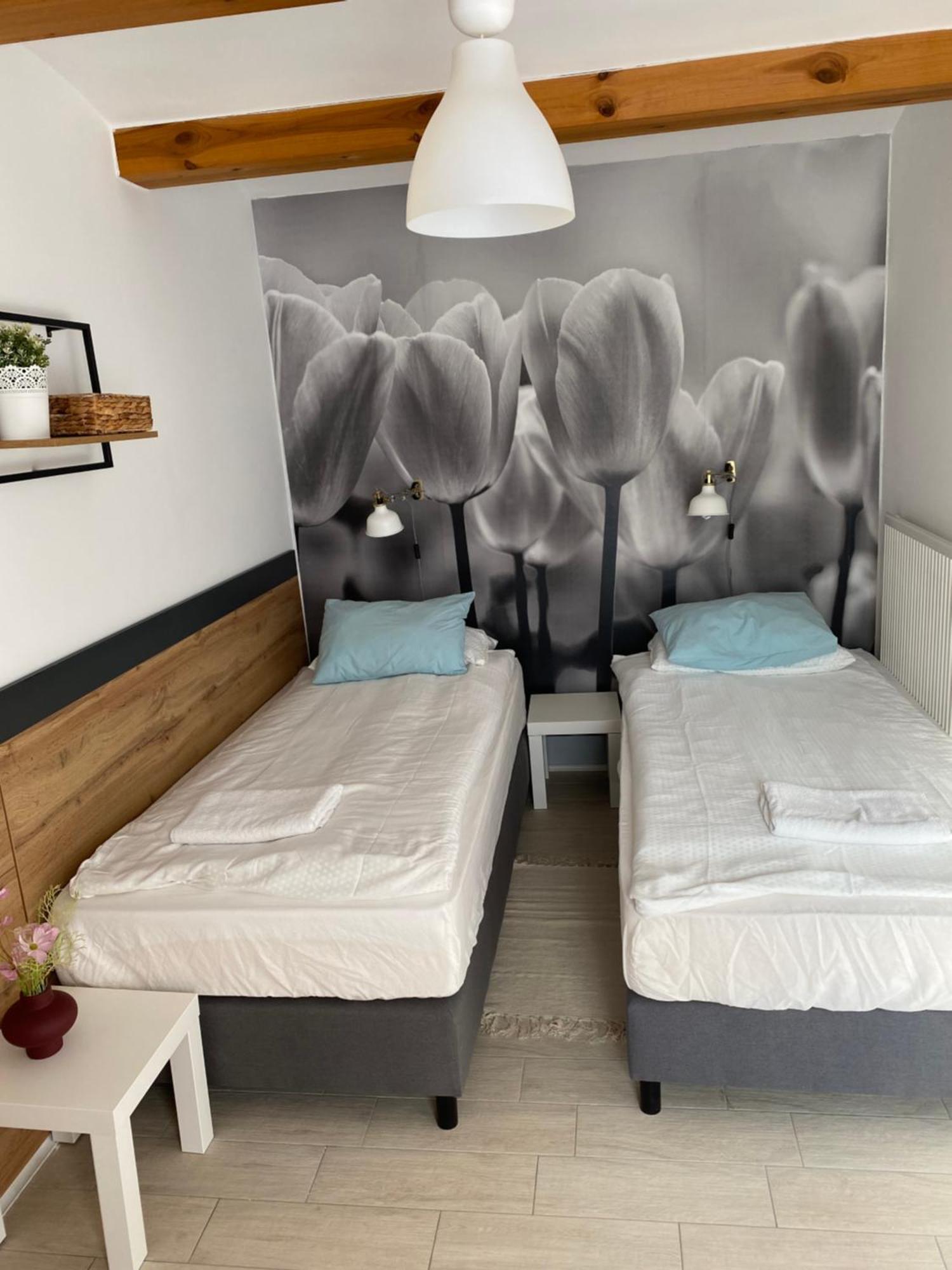 Levendula Apartmanhaz 包道乔尼托毛伊 外观 照片